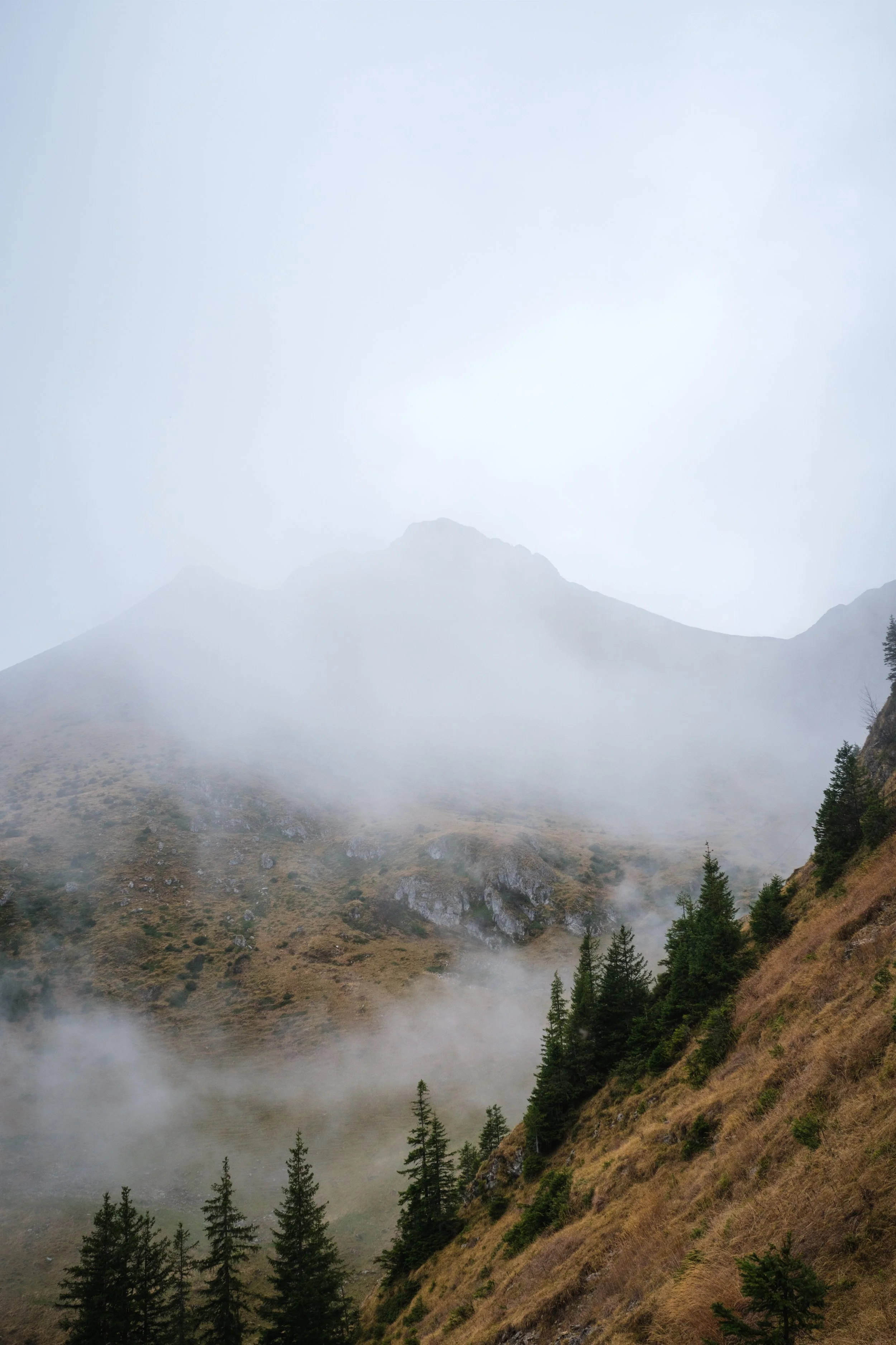 Berglandschaft mit nebelverhangenem Gipfel, bewaldeten Berghängen und Wolken