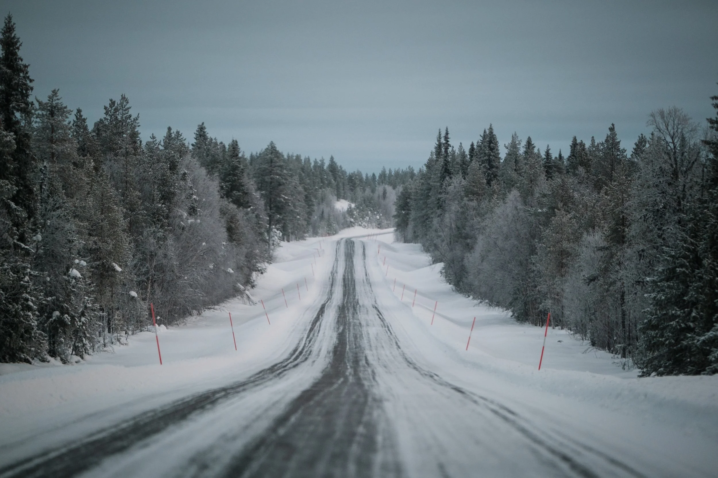Schneebedehnte Landstraße im Winter, flankiert von verschneiten Tannenbäumen, bei bewölktem Himmel.