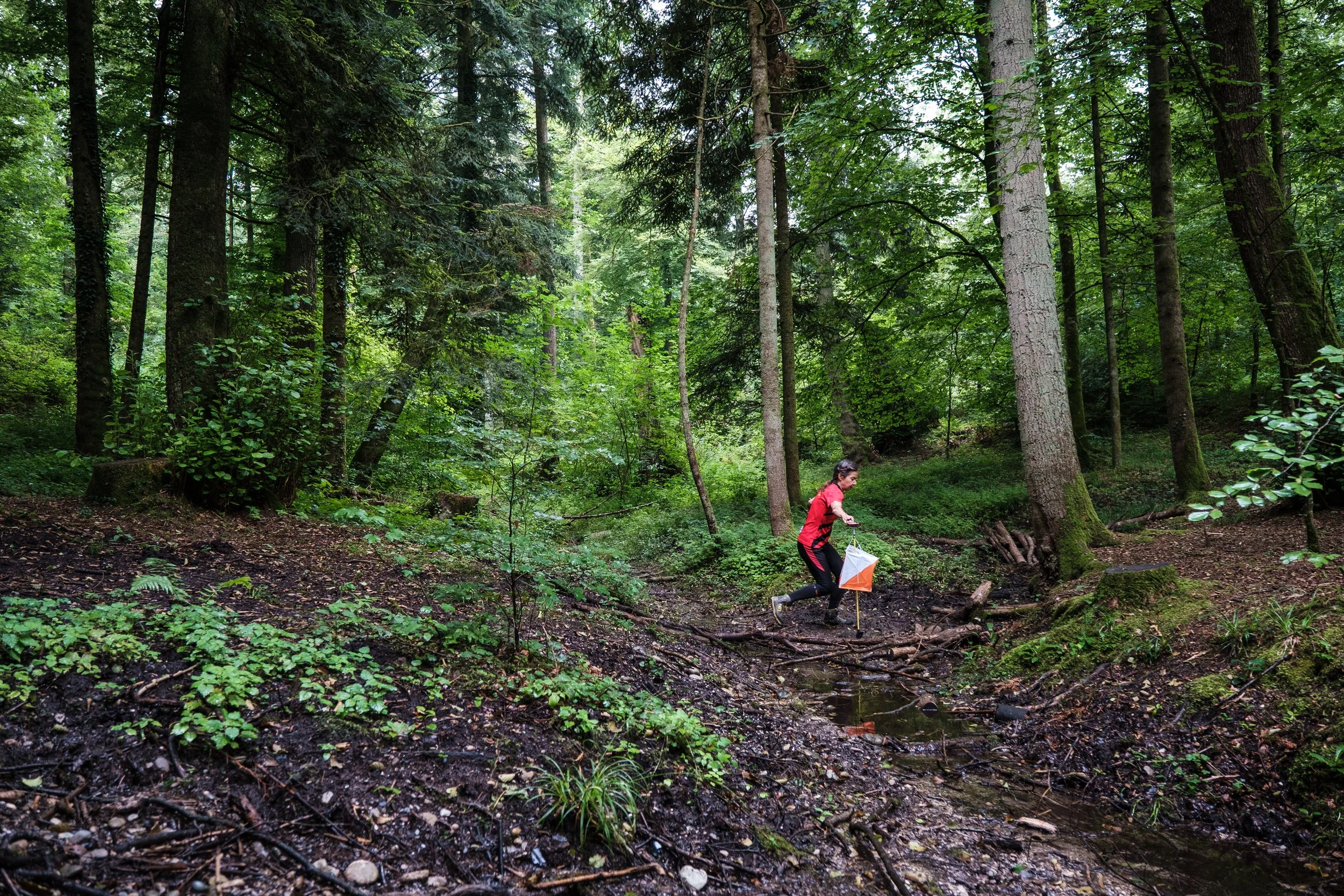 Eine Person in einem roten Jacke läuft über einen Holzsteg in einem dichten, grünen Wald und trägt eine orange-weiße Messebox.