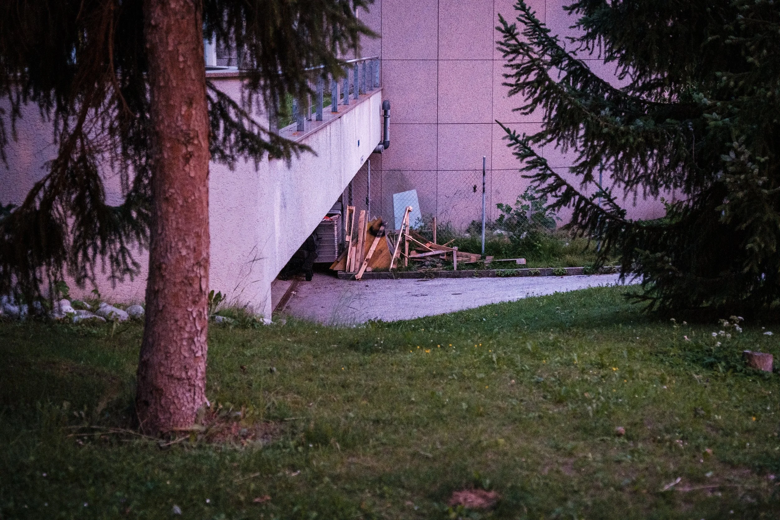 Garten mit Bäumen und einem Weg, hinter einem Gebäude liegen Holzreste, eine Mauer und eine Metallzaun