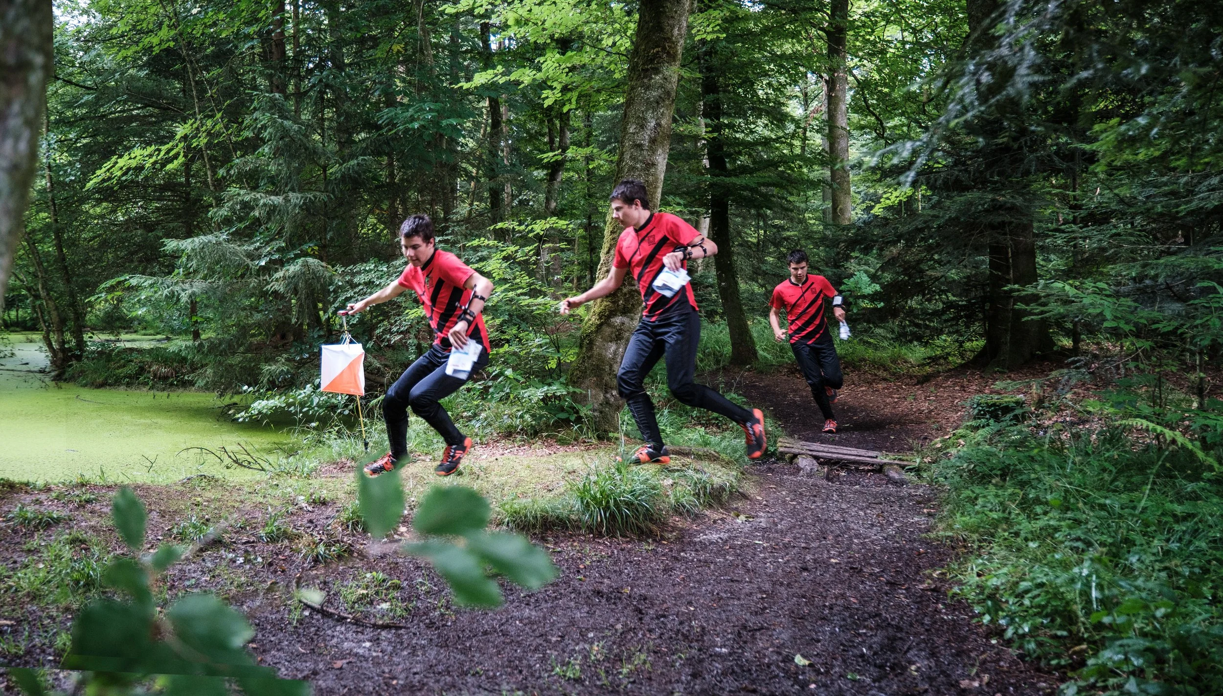 Drei Männer in roter und schwarzer Laufkleidung laufen auf einem schmalen Waldpfad, während sie an einer Orientierungslaufveranstaltung teilnehmen.